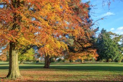 IMG_7183_Hi-res
