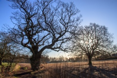 IMG_9654-HDR_Hi-Res