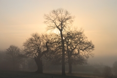 IMG_9668_Hi-Res