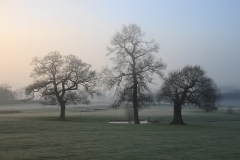 IMG_9670_Hi-Res