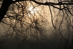 IMG_9685_Hi-Res