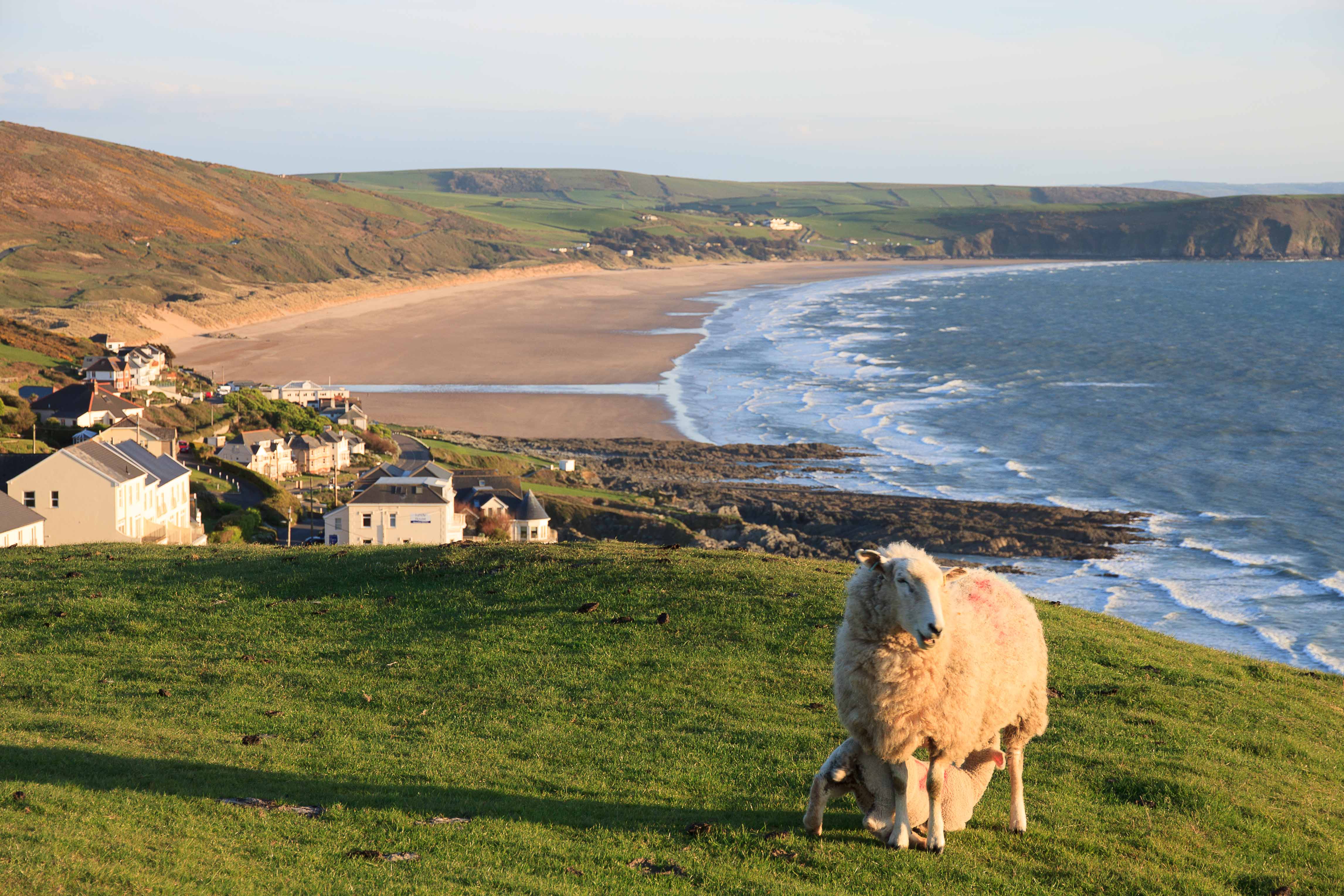 Woolacombe and Putsborough Beach from Morthoe. April 2015.