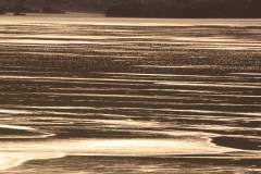 Golden reflections on Putsborough Beach. January 2015.