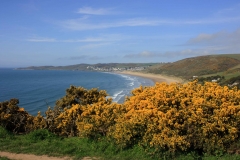 IMG_5668_Low-Res