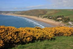IMG_5676_Low-Res