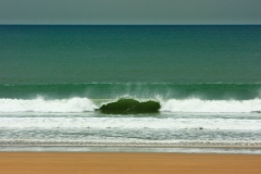 IMG_6535_Low-Res