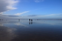 IMG_2407_Hi-Res
