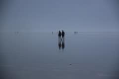IMG_2411_Hi-Res