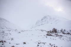 IMG_2620_Hi-Res
