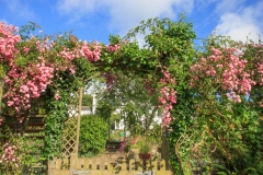 IMG_1118_Hi-Res