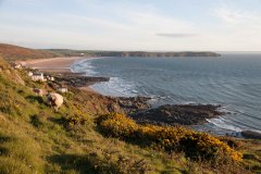 View from Morte Point down Woolacombe/Putsborough Beach towards Baggy Point. April 2015