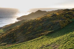 Morte Point near Woolacombe. April 2015.