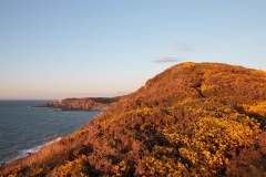 Bull Point from Morte Point. April 2015.