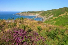 Bull Point from Morte Point. July 2015.