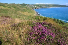 Woolacombe from Morte Point. July 2015.