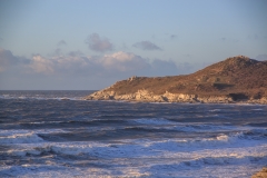 IMG_2568_Hi-Res