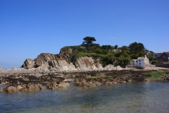IMG_3412_Low-Res