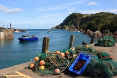 Ilfracombe Harbour