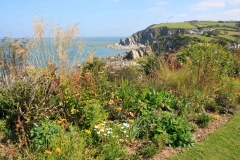 Cliffe Garden overlooking Lee near Ilfracombe